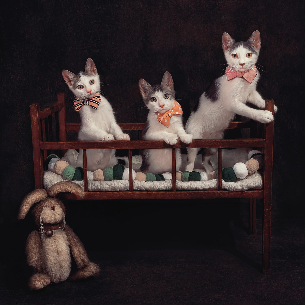 Penny Sesher